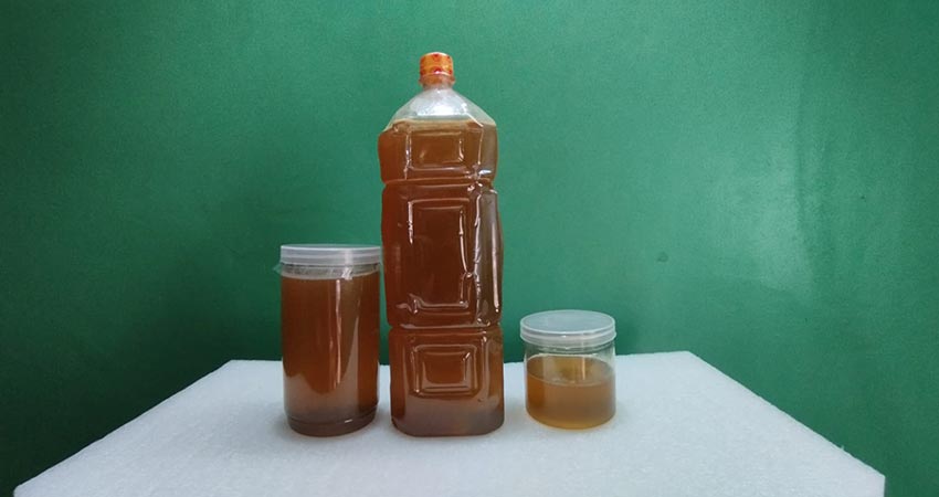 চাকের মধু